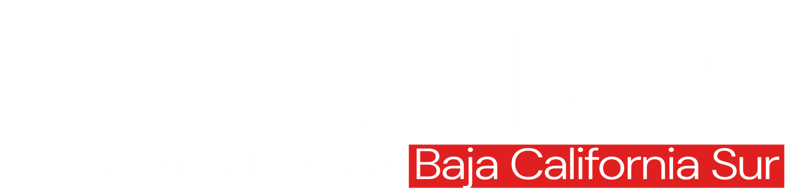 exclusivasbajacaliforniasur.com.mx